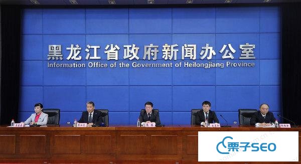 黑龙江省推进数字政府建设 为优化营商环境提供
